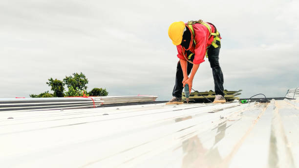 Best Roof Maintenance and Cleaning  in Hazleton, PA