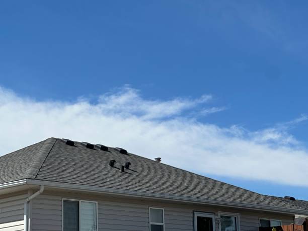 Best Wood Shake Roofing  in Hazleton, PA